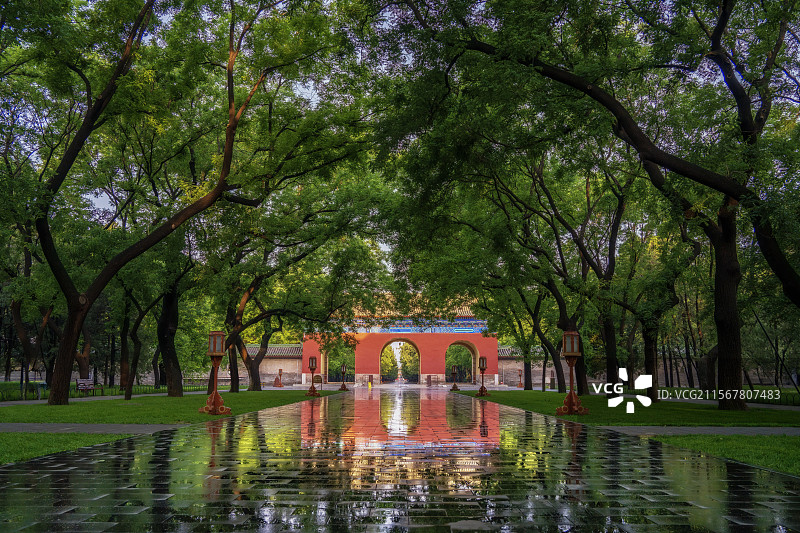 北京雨后初夏天坛清晨图片素材