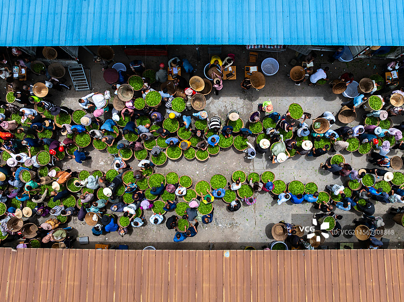 四川省雅安市红星镇茶叶交易市场图片素材
