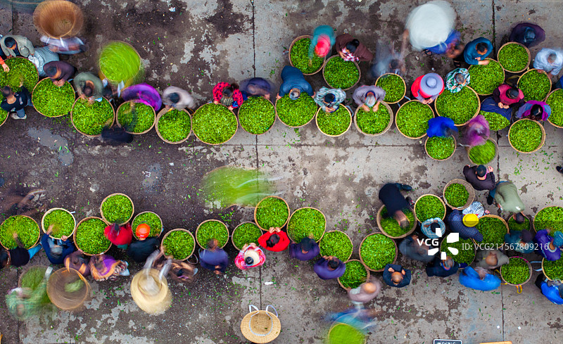 四川雅安红星镇茶叶交易市场航拍图片素材