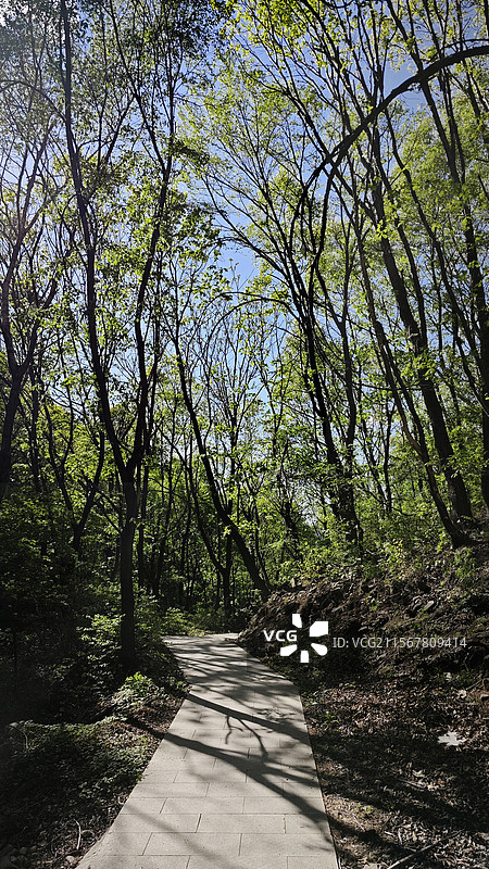 北京延庆九眼楼生态长城展示区之生态景观图片素材