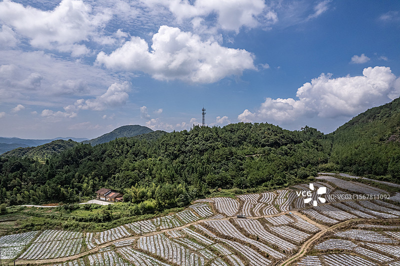 福建省莆田市仙游县的种植园航拍图图片素材