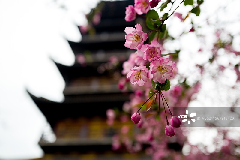 常熟 方塔公园图片素材