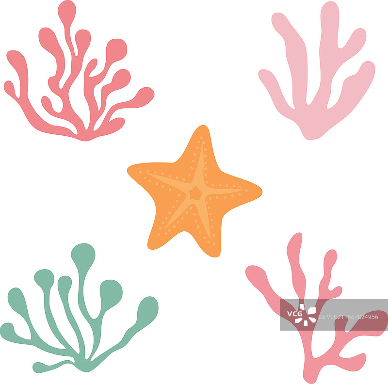 海洋生物元素：海星套装图片素材