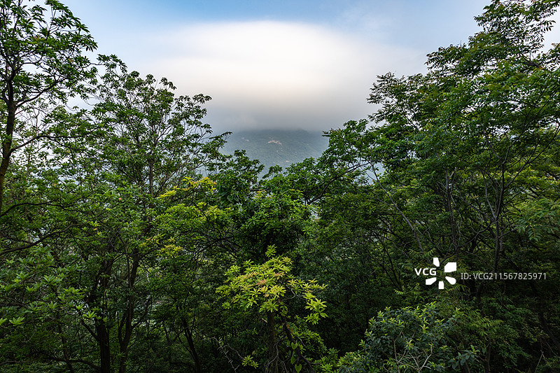 江门圭峰山国家森林公园图片素材