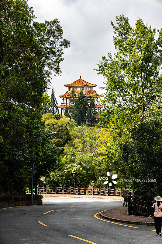 江门圭峰山国家森林公园图片素材