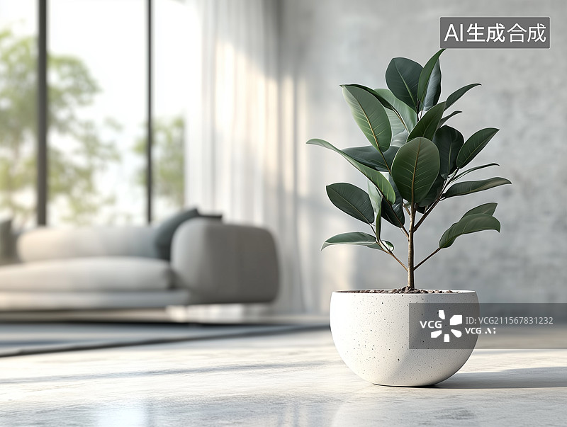 【AI数字艺术】房间一棵绿色的绿植盆栽图片素材
