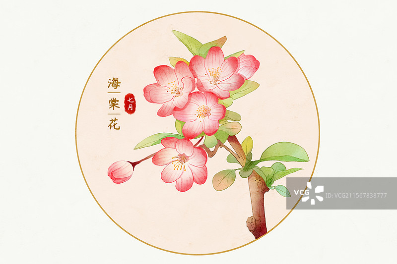 夏天七月海棠花植物花卉图片素材