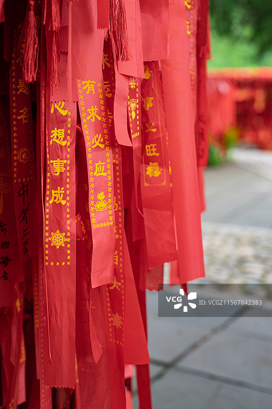 中国传统文化拍摄主题，古树上捆绑着许多红色的祈福带，户外白昼无人图像摄影图片素材