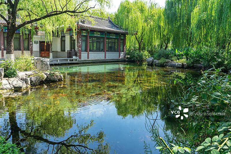 中国5A级旅游景区拍摄主题，山东省济南市五龙潭碧绿的泉水湖泊和大树倒影，户外白昼无人图像摄影图片素材