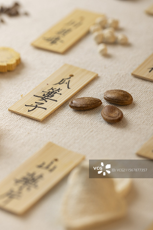 中药材瓜蒌子图片素材