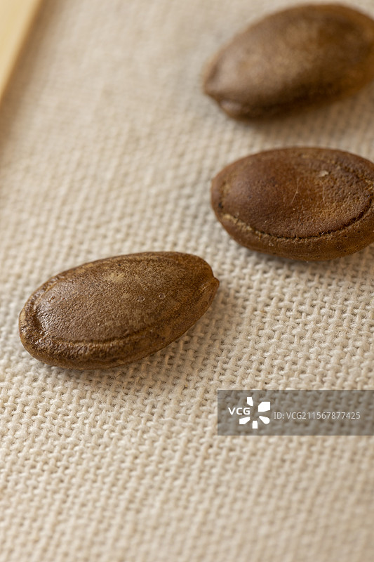 中药材瓜蒌子图片素材