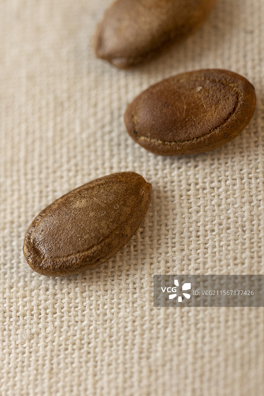 中药材瓜蒌子图片素材