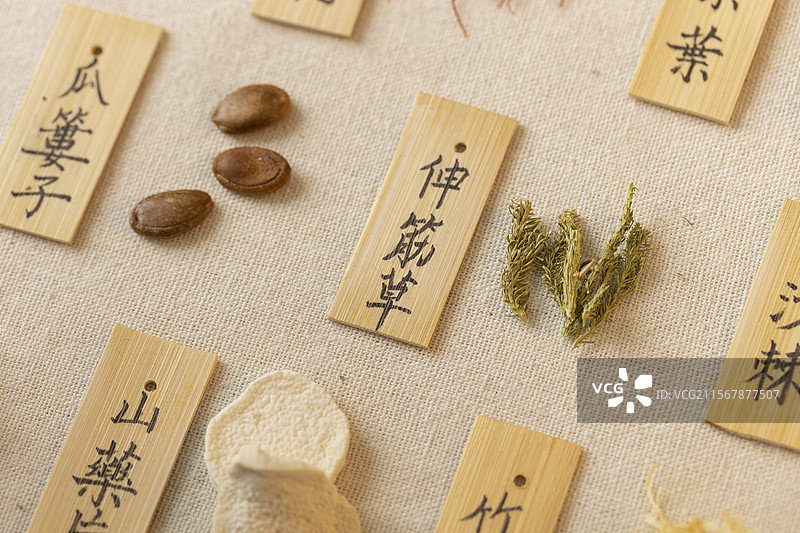 多种中药材图片素材