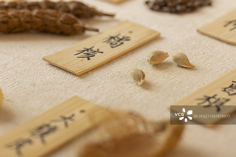中药材橘核（桔核）图片素材