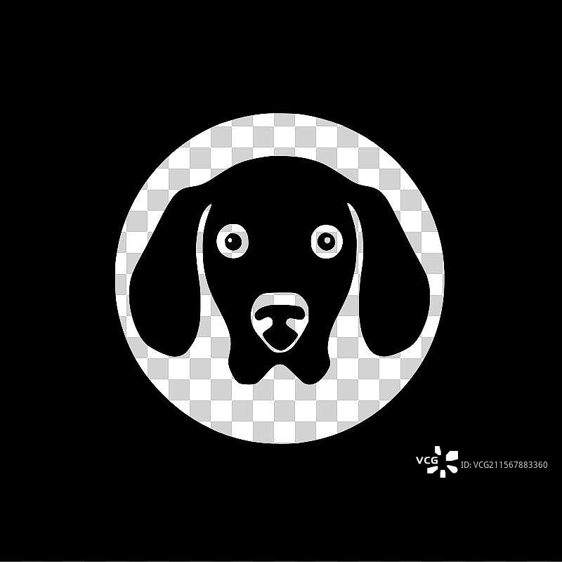黑白狗图片素材