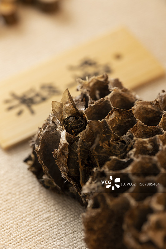 中药材蜂巢（蜂房）图片素材