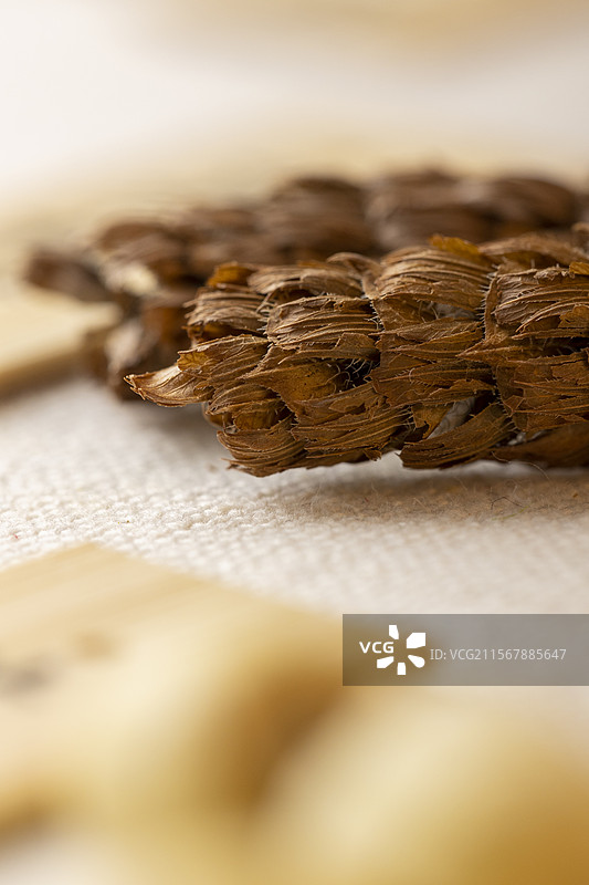 中药材夏枯草图片素材