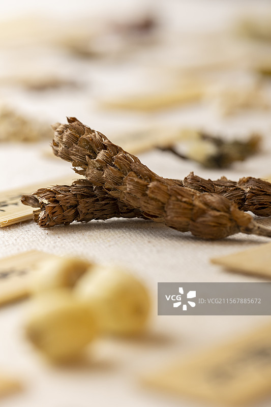 中药材夏枯草图片素材