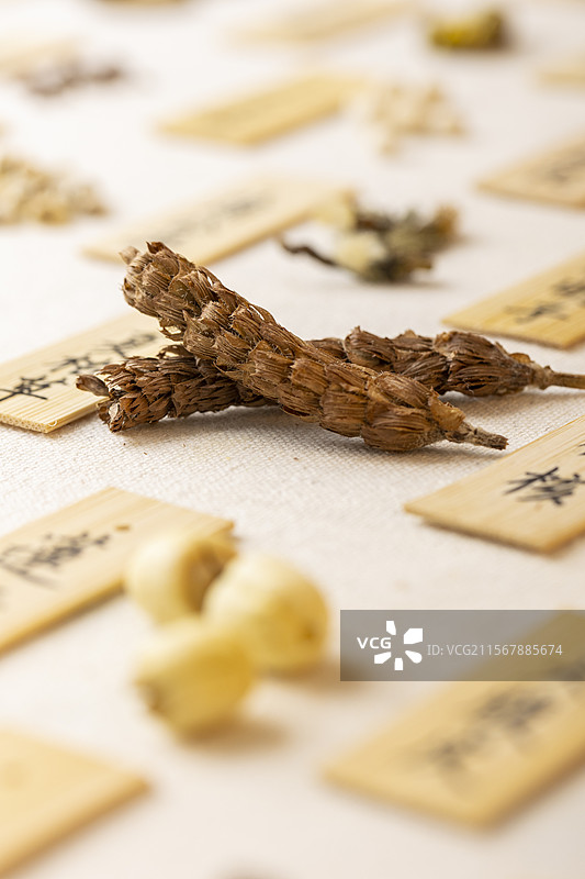 中药材夏枯草图片素材