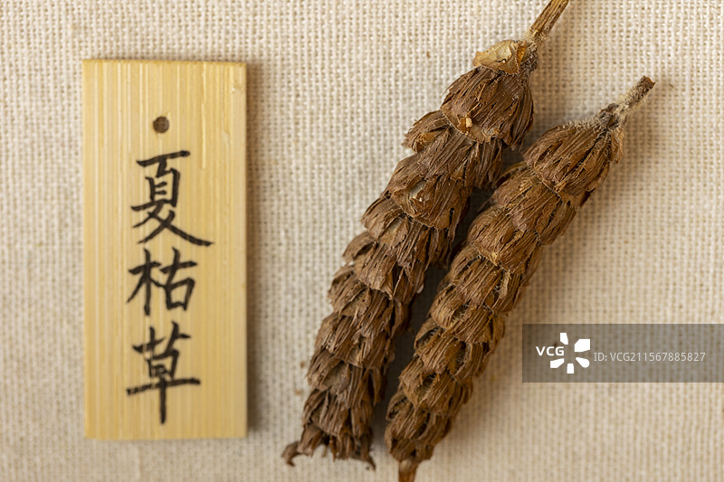 中药材夏枯草图片素材