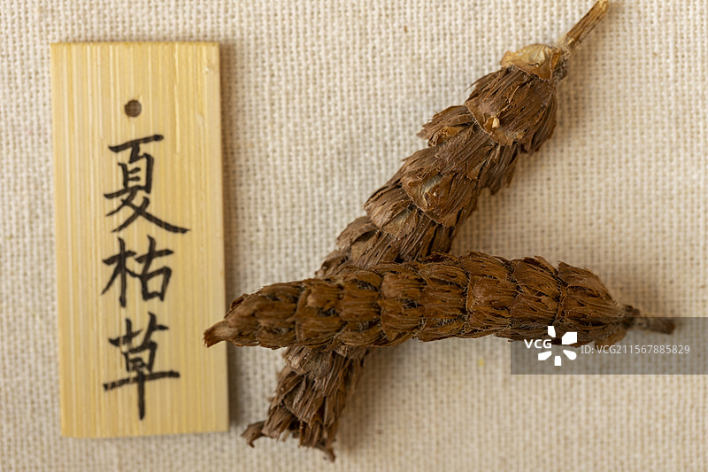 中药材夏枯草图片素材