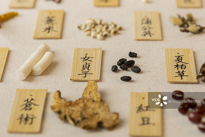 中药材女贞子图片素材