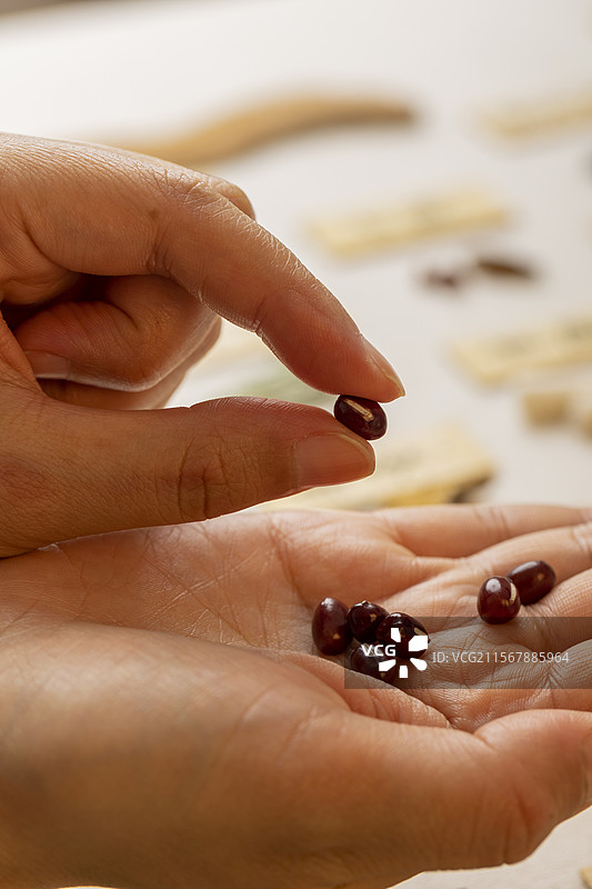 手拿红豆特写图片素材