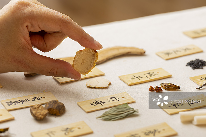 手拿中药材人参片特写图片素材