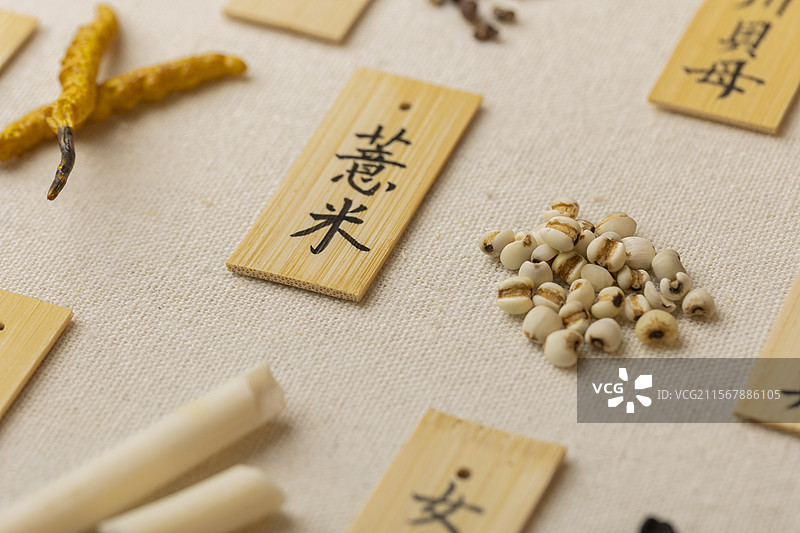 药食同源食品：薏米图片素材