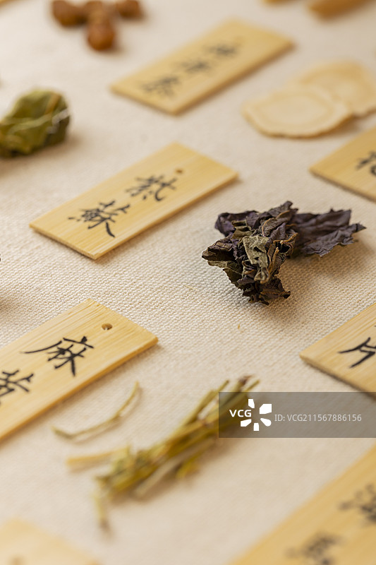 中药材紫苏图片素材