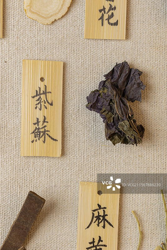 中药材紫苏图片素材