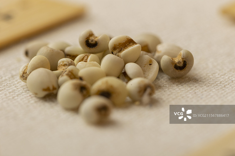 药食同源食品：薏米图片素材