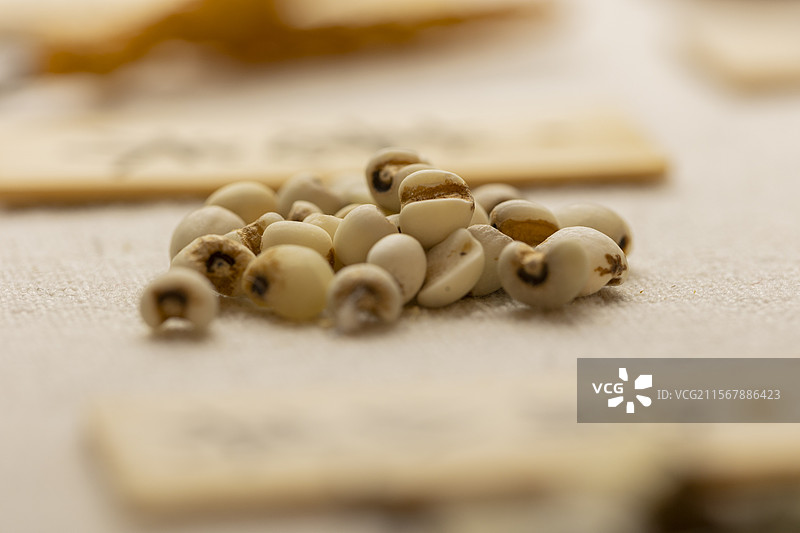 药食同源食品：薏米图片素材