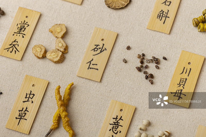 多种中药材图片素材