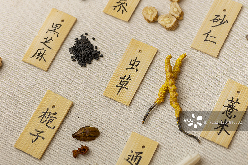 多种中药材图片素材