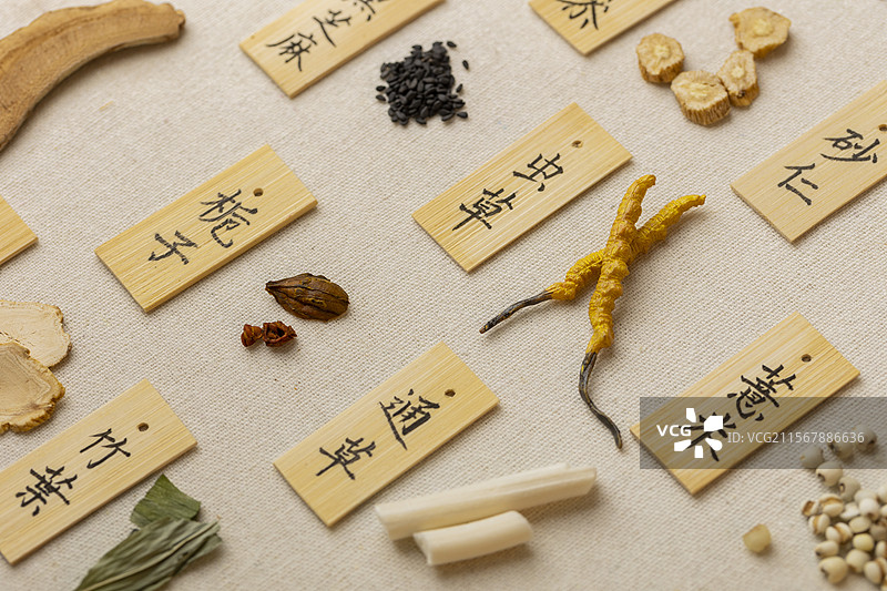 多种中药材图片素材