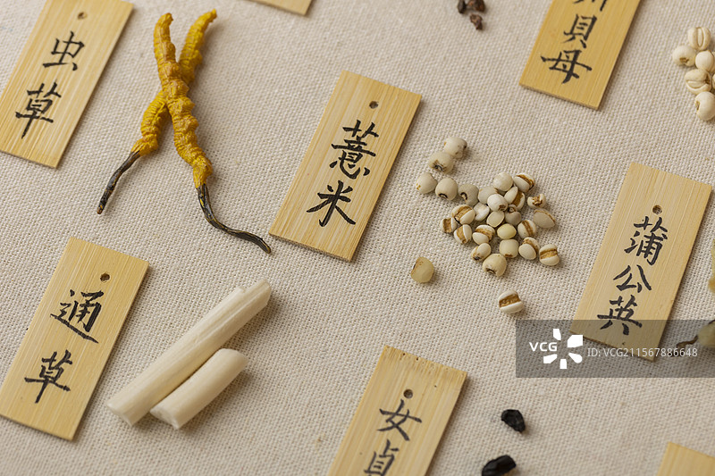 多种中药材图片素材