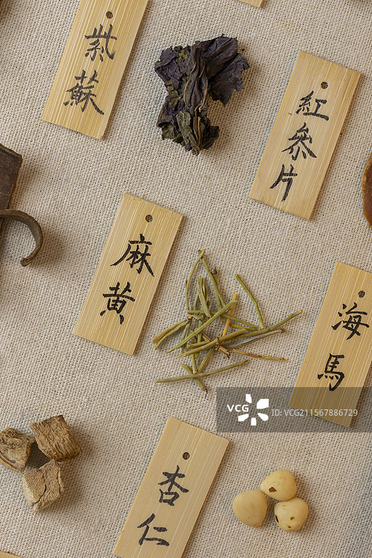 多种中药材图片素材