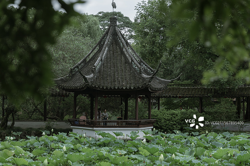 荷花白荷莲花花瓣夏天中式园林电脑壁纸高清壁纸电脑屏幕亭台亭子莲藕莲花风景美景盛夏夏天绿色莲蓬植物花莲图片素材