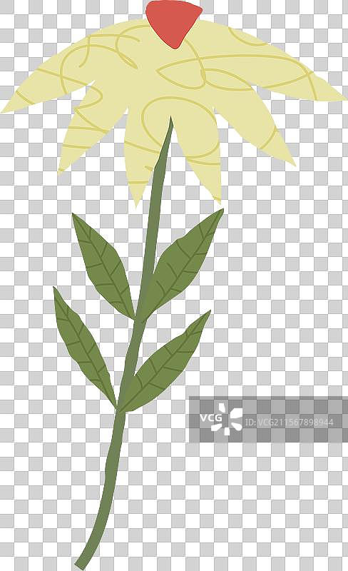 卡通风格的绿色花朵孤立图绘图片素材