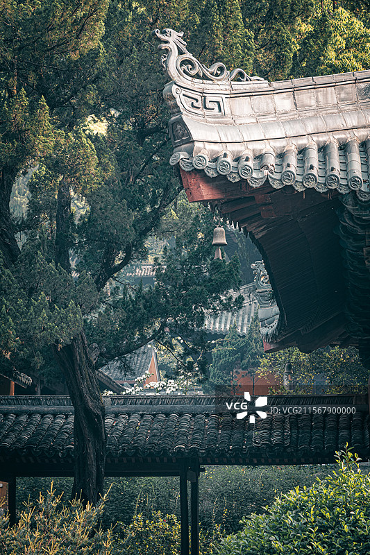 国清寺摄影图片素材