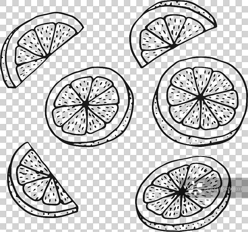 手绘风格的柠檬片轮廓图集图片素材