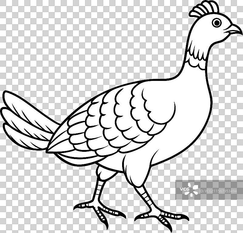 松鸡鸟行走图标图片素材