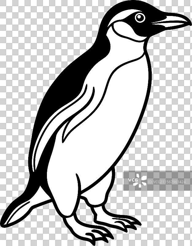 冠企鹅行走图标图片素材