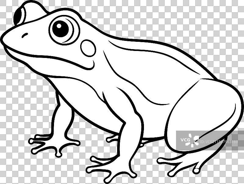 达尔文蛙图标图片素材