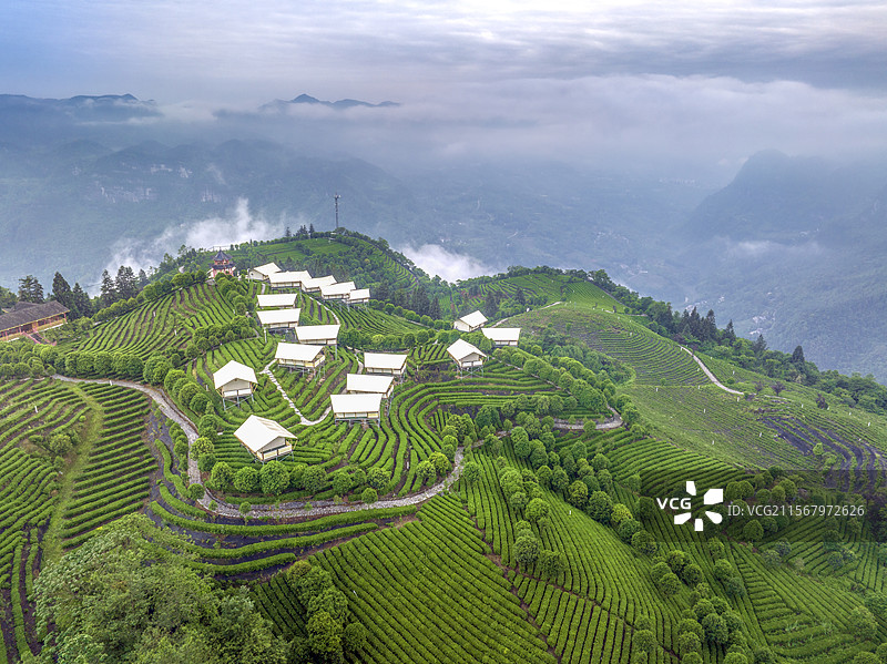 湖北恩施马者茶园：露营乘凉，拥抱自然，享受茶香里的慢时光图片素材