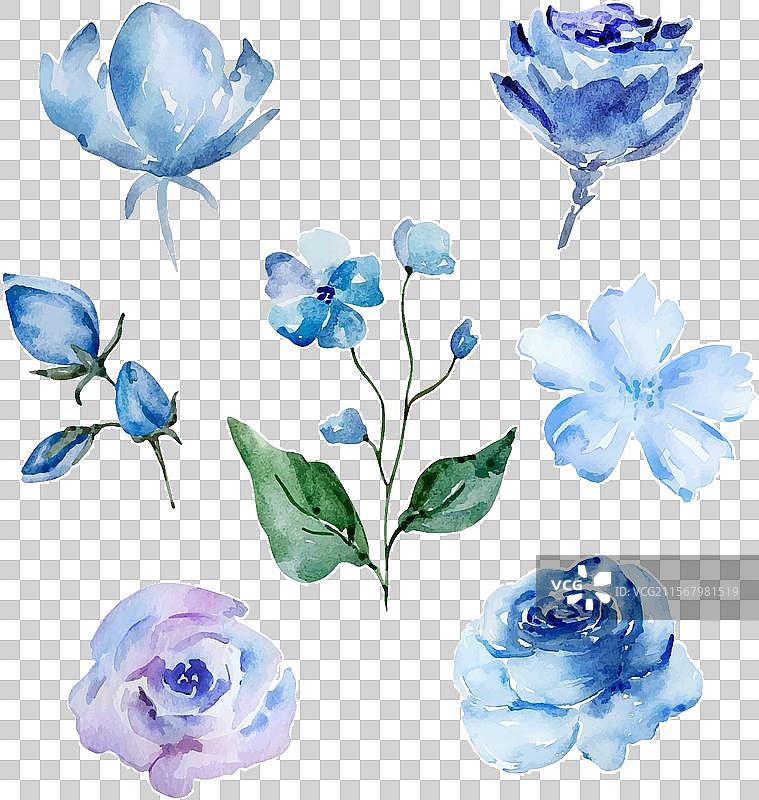 蓝色水彩花朵套装图片素材