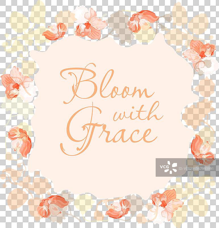 孤立的框架中盛开的室内植物图片素材