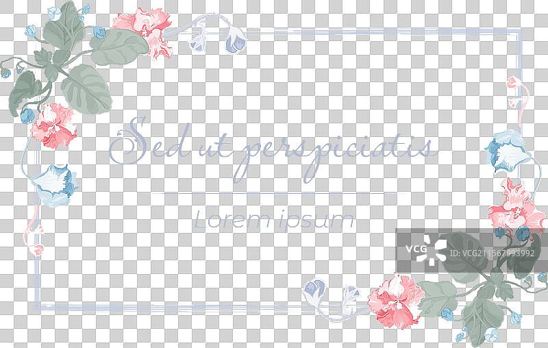 孤立的框架中盛开的室内植物图片素材