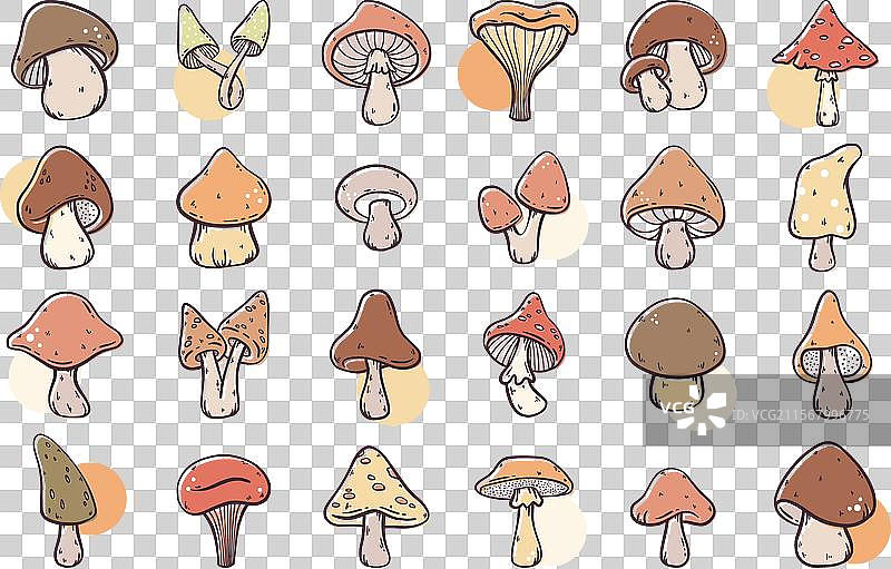 一大堆手绘可爱卡通蘑菇图片素材